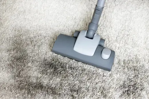 Carpet Cleaning in Bulleen